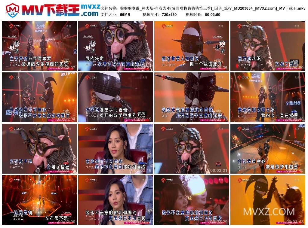猴猴猴赛雷_林志炫-左右为难(蒙面唱将猜猜猜第三季)_国语_流行_MD203834